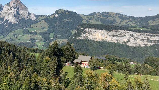 Privacy Conundrums in early 2021 — on Violators and Accomplices